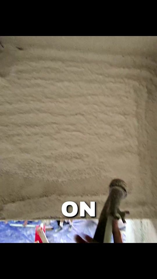 TikTok video thumbnail by lefacadier345