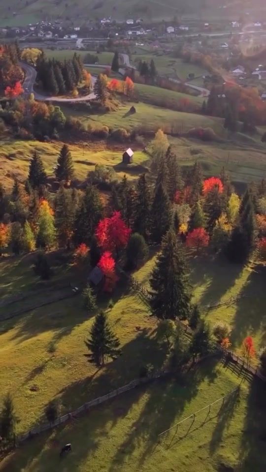 TikTok video thumbnail by cabanebucovina