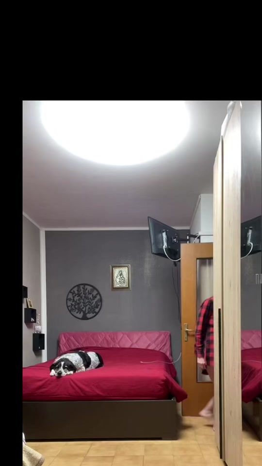 TikTok video thumbnail by barbarafarina63