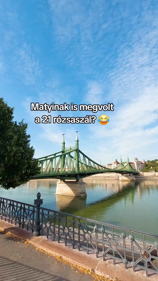 TikTok video thumbnail by a_borsodi