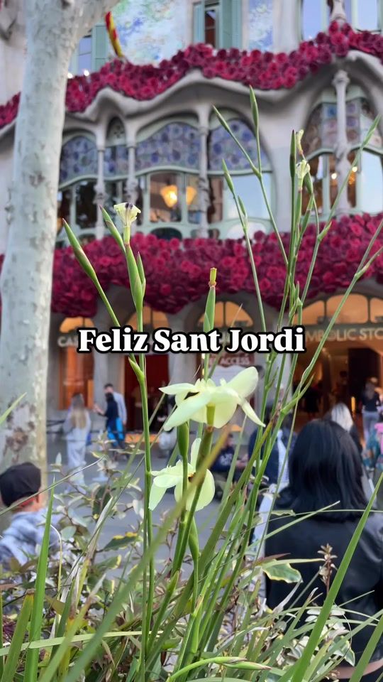 TikTok video thumbnail by comomolabarcelona
