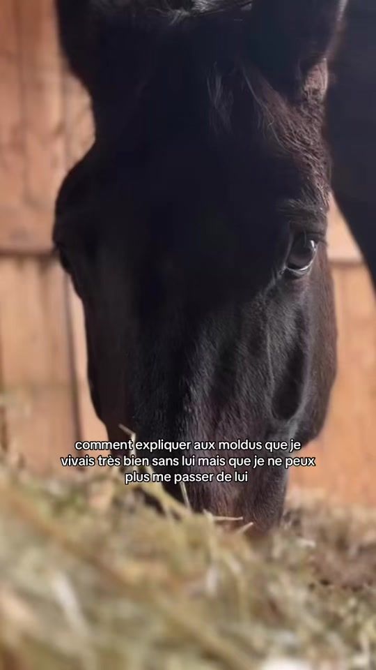 TikTok video thumbnail by frenchy.des.arces