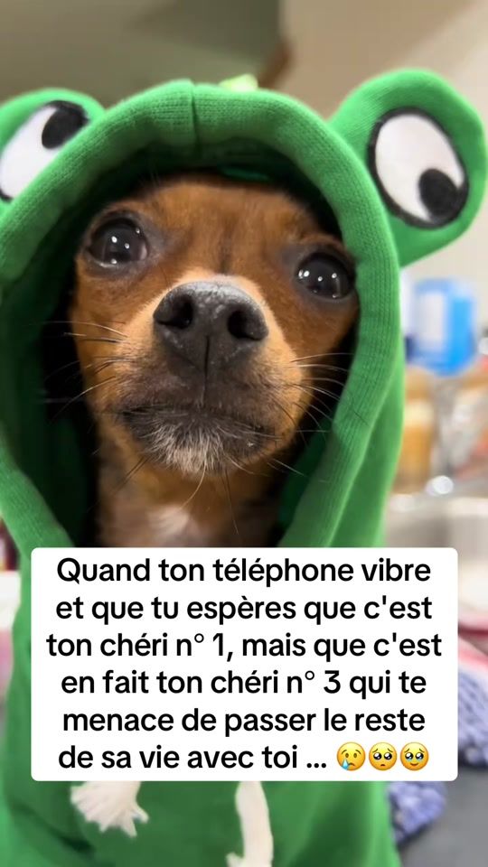 TikTok video thumbnail by splitzzz__