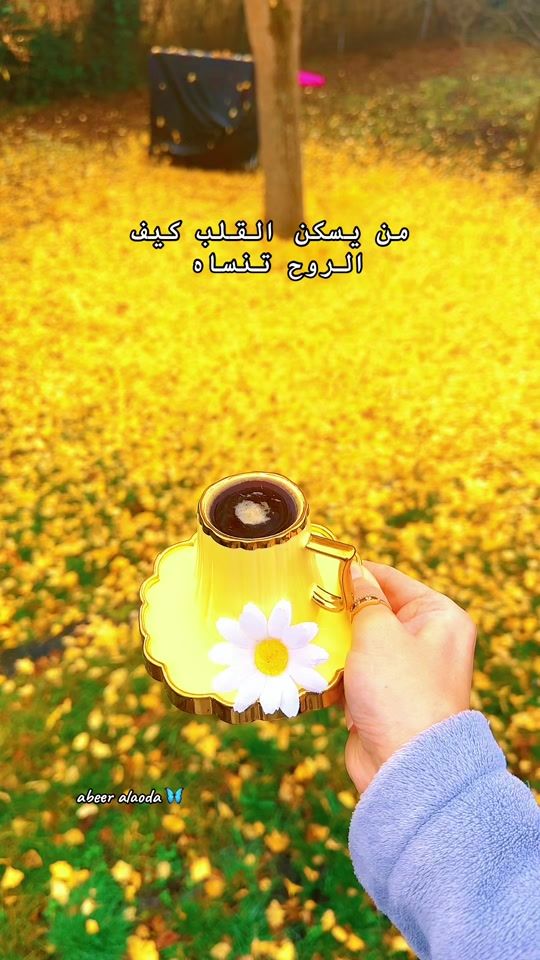TikTok video thumbnail by abeer.alaoda