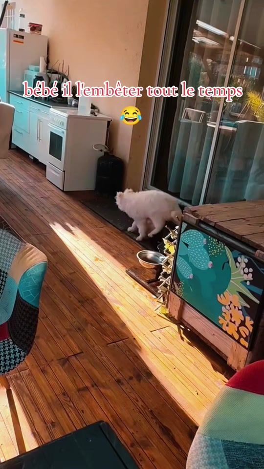 TikTok video thumbnail by scorpiontiktok.com