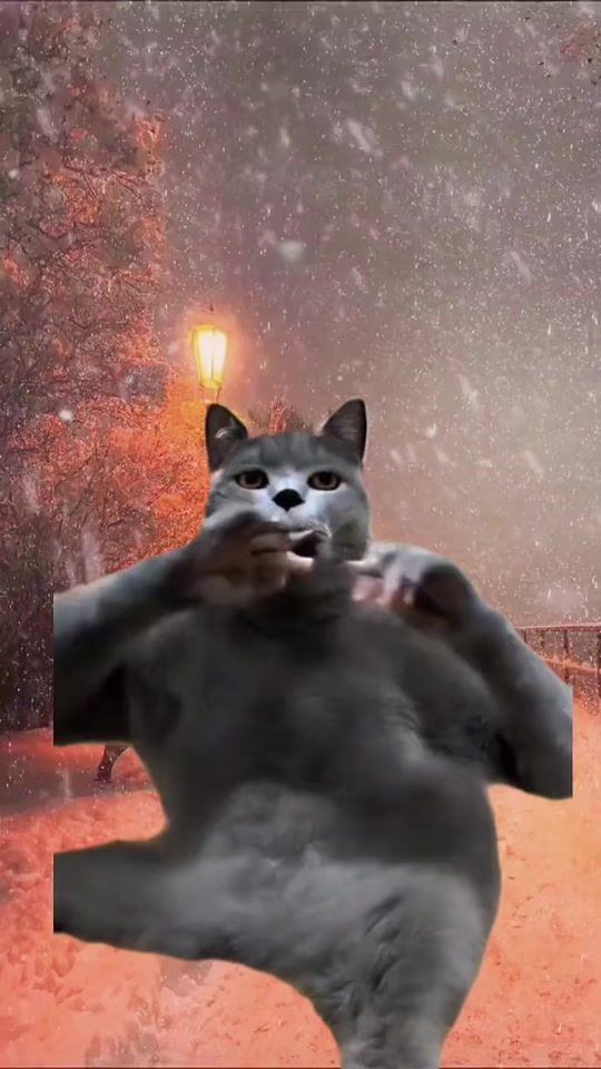 TikTok video thumbnail by _tomatona_