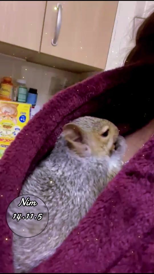 TikTok video thumbnail by shawnimadil