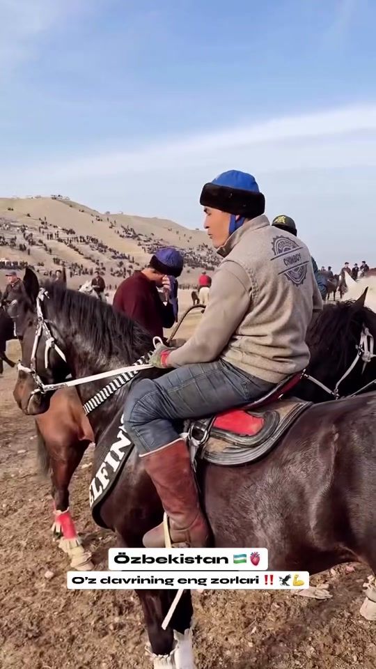 TikTok video thumbnail by mustafo_horses