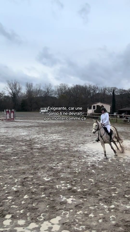 TikTok video thumbnail by lya.equit