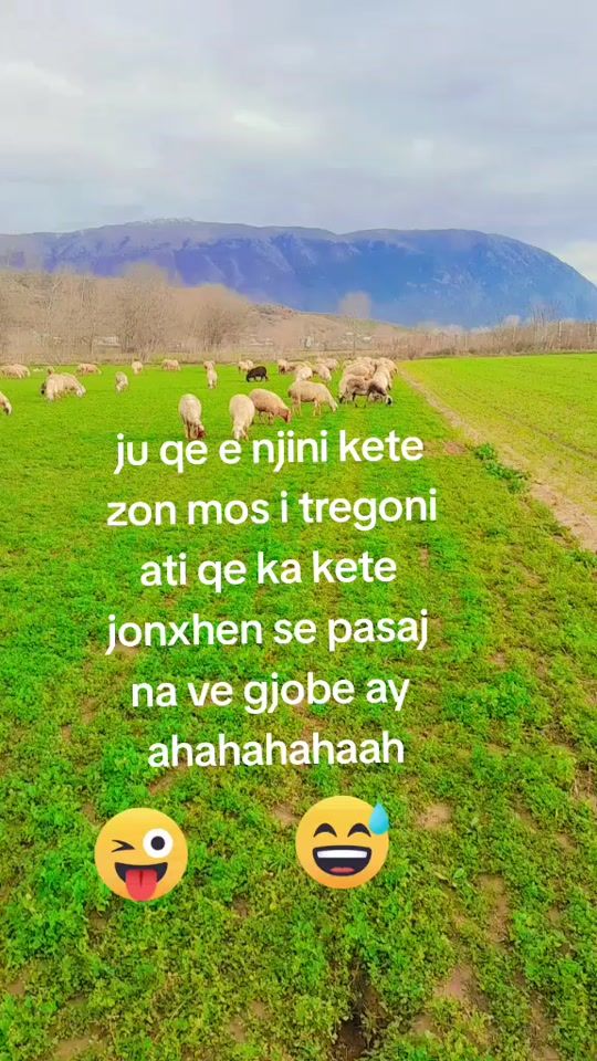 TikTok video thumbnail by merakliuidelve
