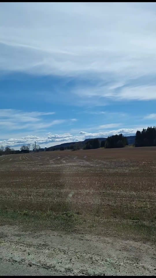 TikTok video thumbnail by anne.krimm