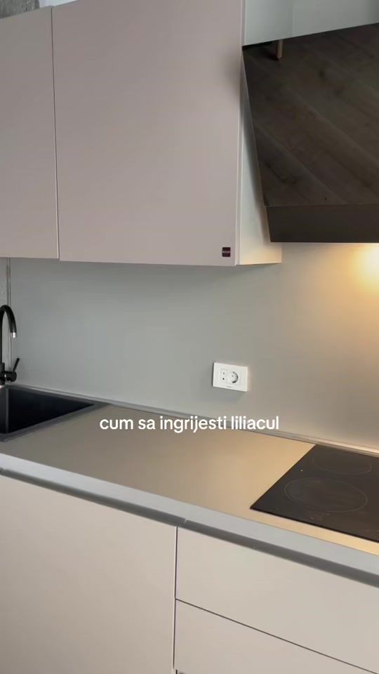 TikTok video thumbnail by naddhuu