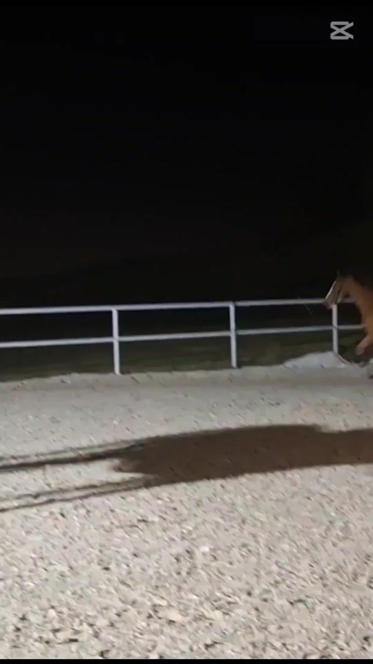 TikTok video thumbnail by cinamonrollzy