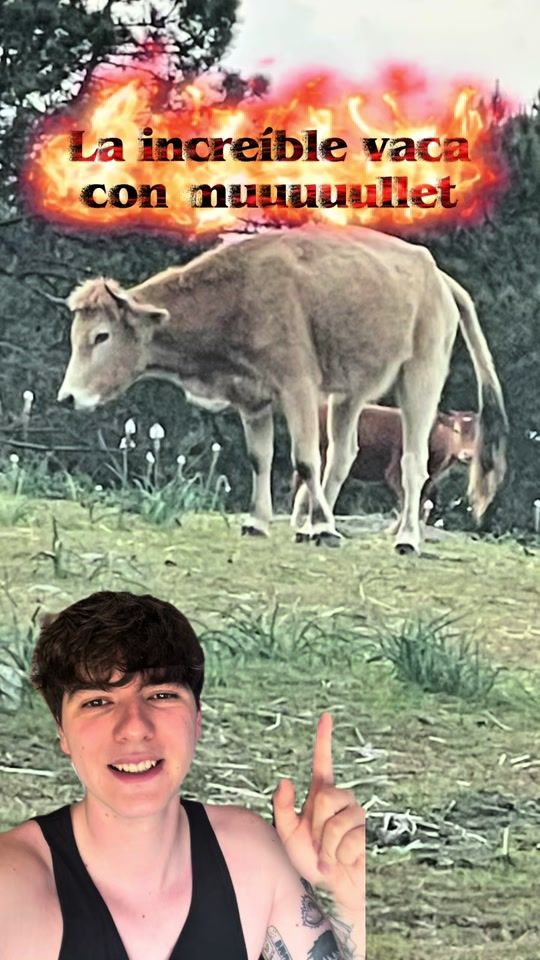 TikTok video thumbnail by martin_dolphin