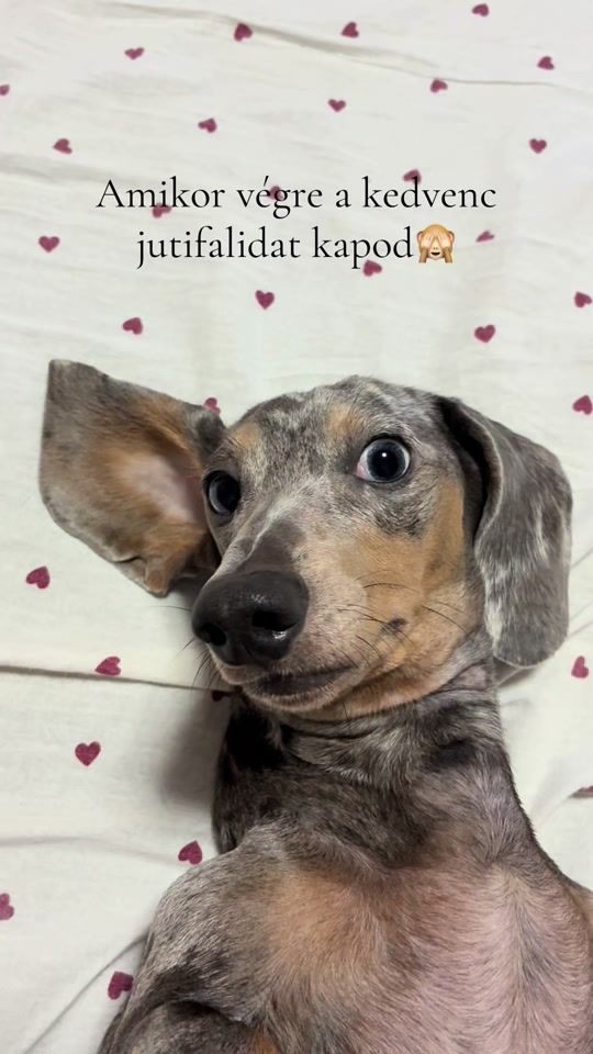 TikTok video thumbnail by mannathedoxie