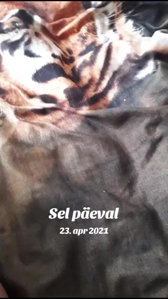 TikTok video thumbnail by nataljapoldsaar
