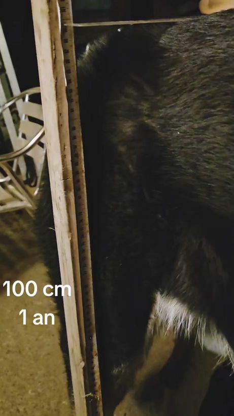 TikTok video thumbnail by freakscorner