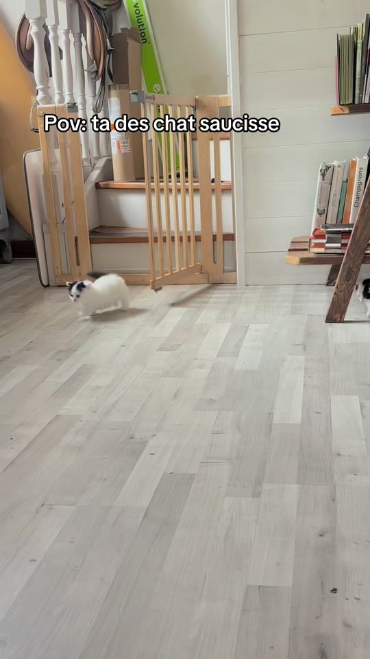 TikTok video thumbnail by mano.1m58