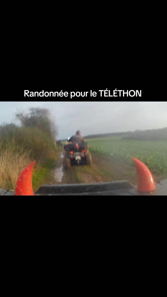 TikTok video thumbnail by lemairemichael359