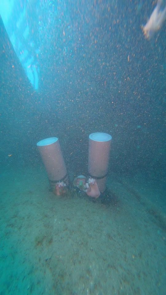 TikTok video thumbnail by pineapplediveclub