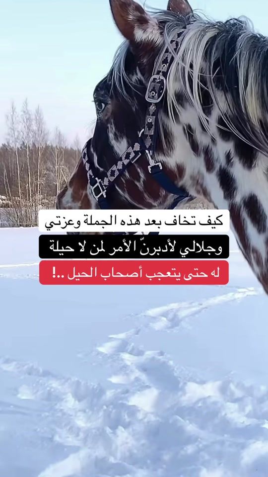 TikTok video thumbnail by nisrino444