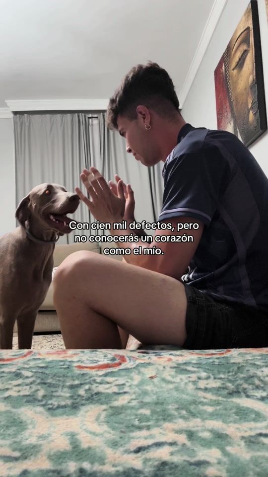 TikTok video thumbnail by alfonsoruss_