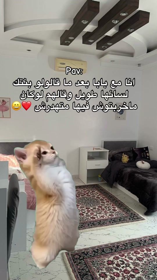 TikTok video thumbnail by chebira.oussama.dz