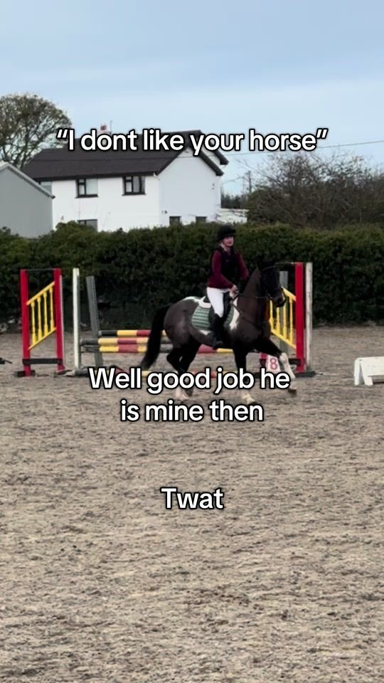 TikTok video thumbnail by cobythehorse