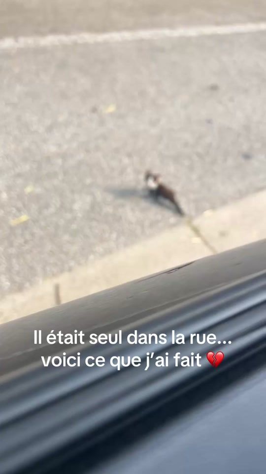 TikTok video thumbnail by nwaifly