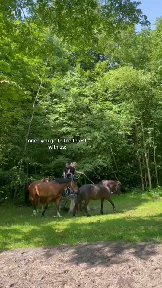 TikTok video thumbnail by naturaliberty