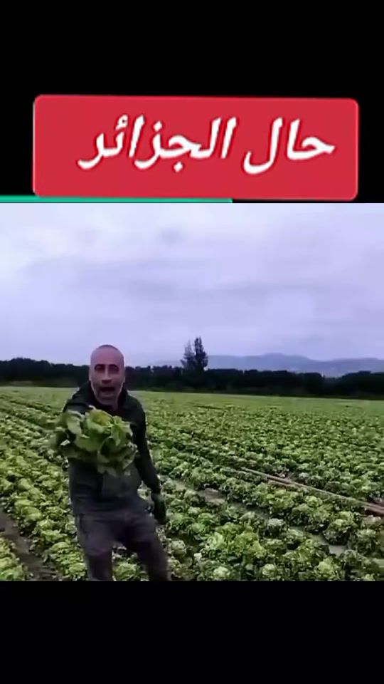 TikTok video thumbnail by lidia.venom