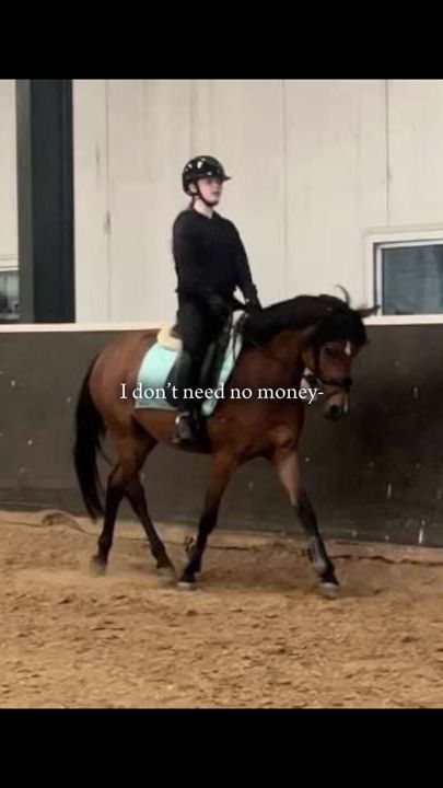 TikTok video thumbnail by kadootje.de.newforest