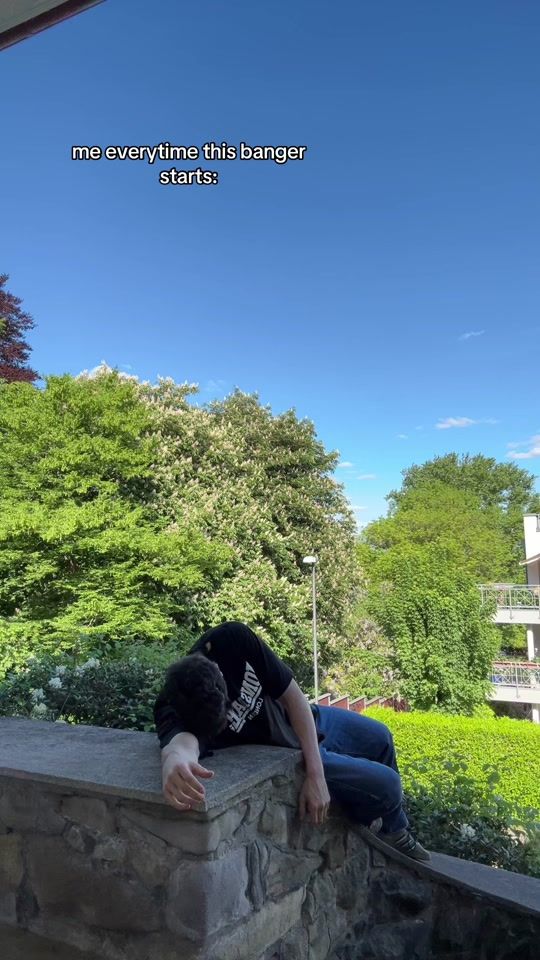 TikTok video thumbnail by real_laurin
