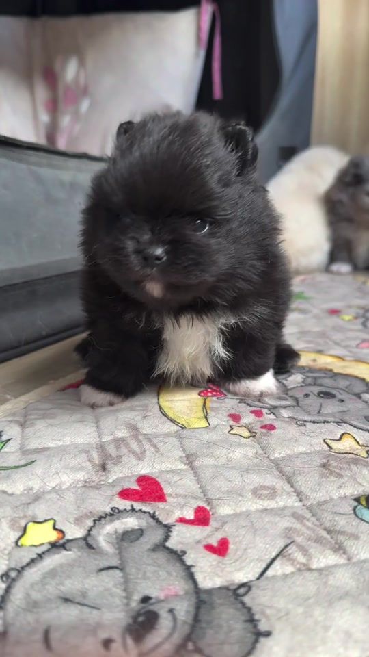 TikTok video thumbnail by gabrielli_100