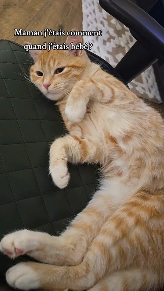 TikTok video thumbnail by sheraz.23
