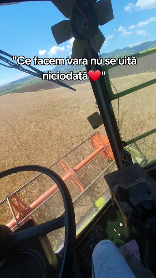 TikTok video thumbnail by agro_seby