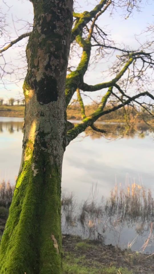 TikTok video thumbnail by cian_reilly_