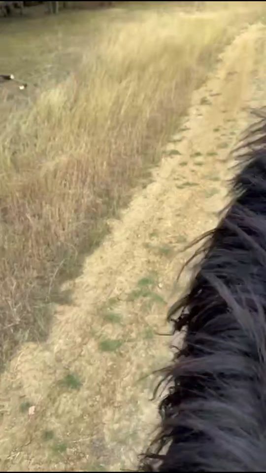 TikTok video thumbnail by stela13245