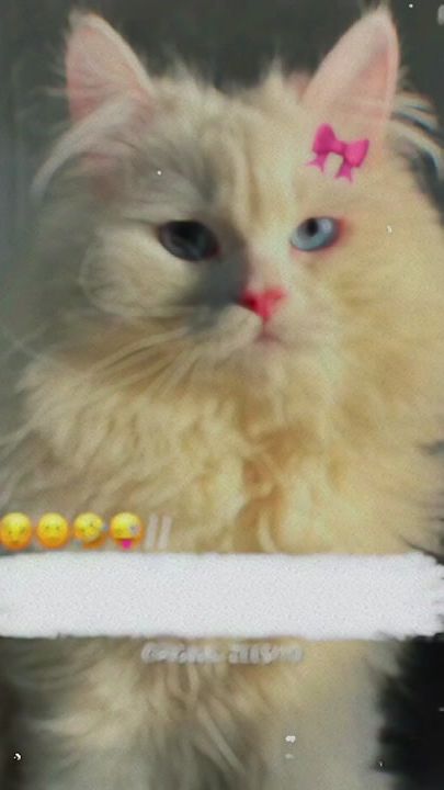 TikTok video thumbnail by original_zeesho