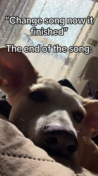 TikTok video thumbnail by l0vxmery