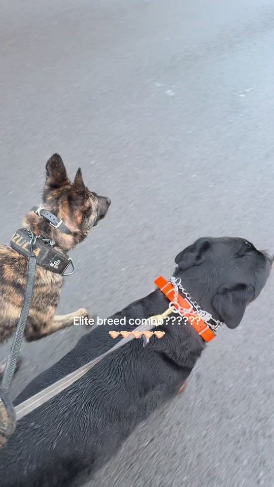 TikTok video thumbnail by victoriareid_