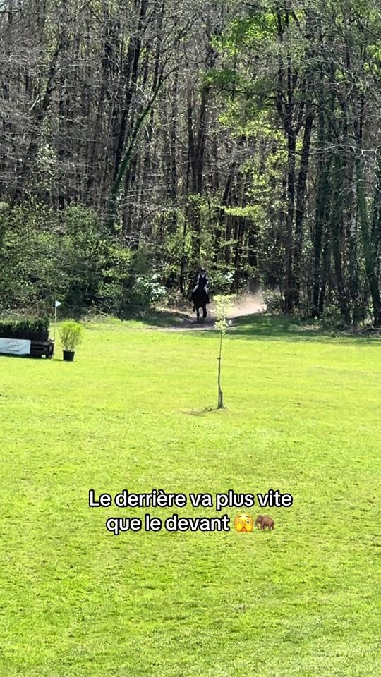TikTok video thumbnail by maya.garnier28