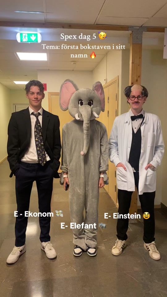 TikTok video thumbnail by liiindgren