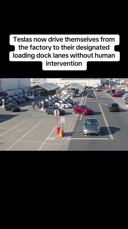 TikTok video thumbnail by timmbrocks