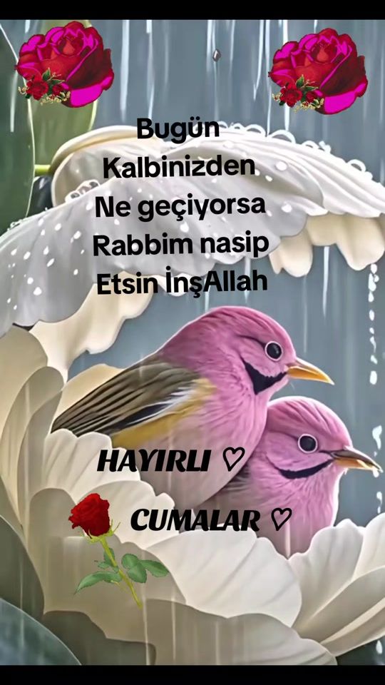 TikTok video thumbnail by kilinc.esmer.02