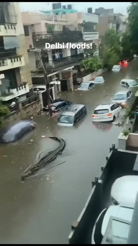 TikTok video thumbnail by kaurs24