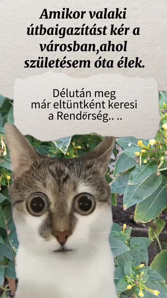 TikTok video thumbnail by moncica75