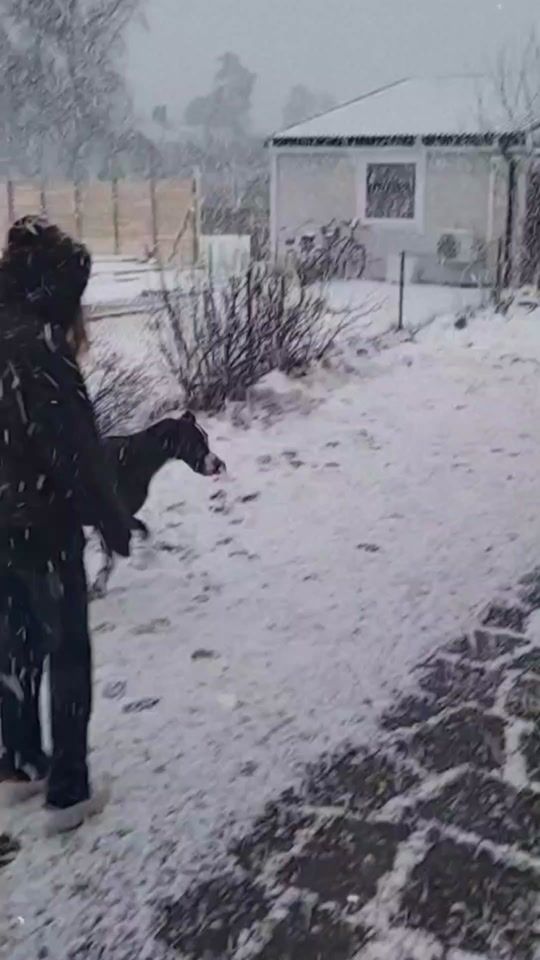 TikTok video thumbnail by joline06_sh