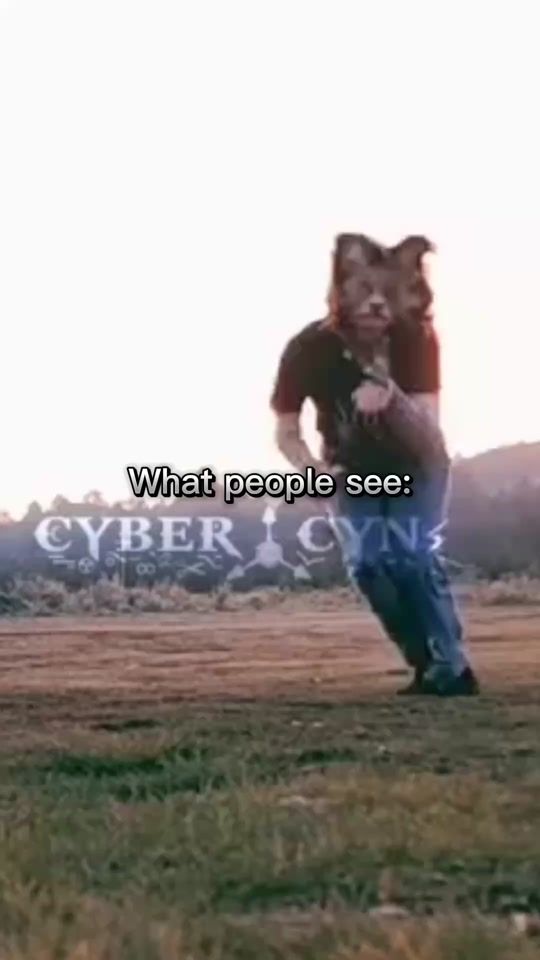 TikTok video thumbnail by wolfox222