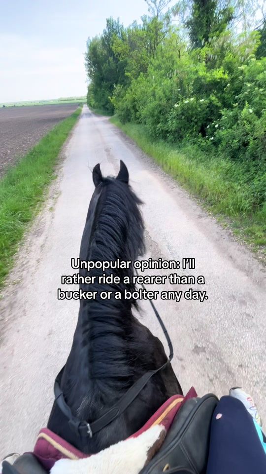 TikTok video thumbnail by ae.rdng